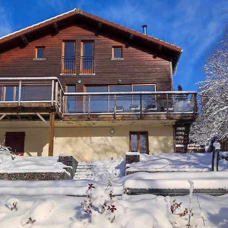 Le Cerf, Chalet Cocooning Avec Piscine Et Billard Ban-sur-Meurthe-Clefcy Bagian luar foto