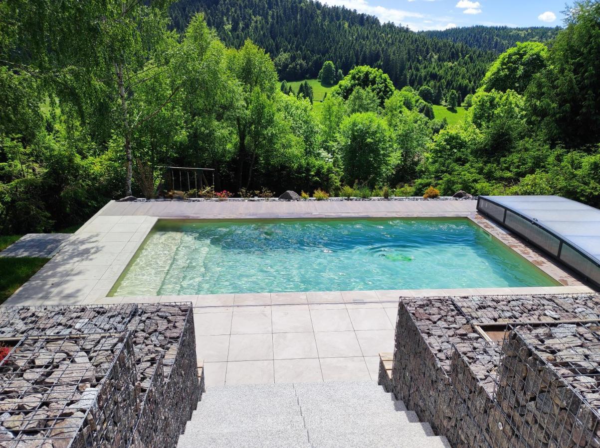 Le Cerf, Chalet Cocooning Avec Piscine Et Billard Ban-sur-Meurthe-Clefcy Bagian luar foto