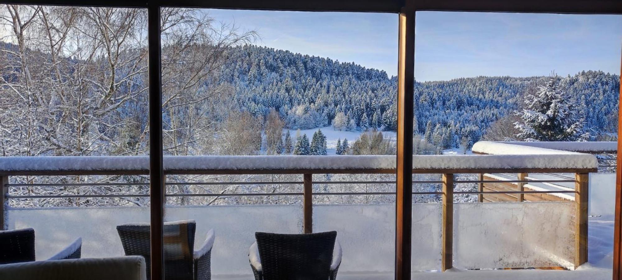 Le Cerf, Chalet Cocooning Avec Piscine Et Billard Ban-sur-Meurthe-Clefcy Bagian luar foto